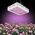 600W Grow Light Red Blue Lighting